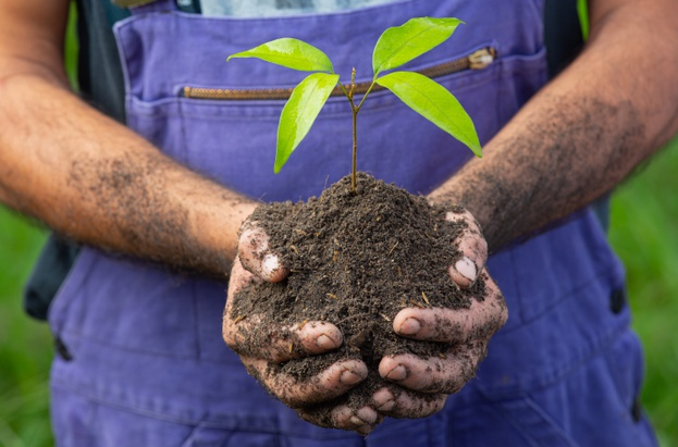 freepik.com/ecologie