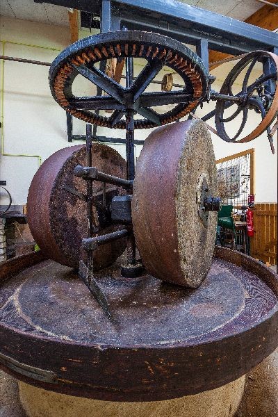 eteecomuseeanimation