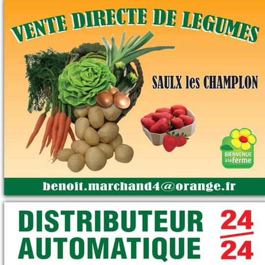 Visuel Benoit Marchand