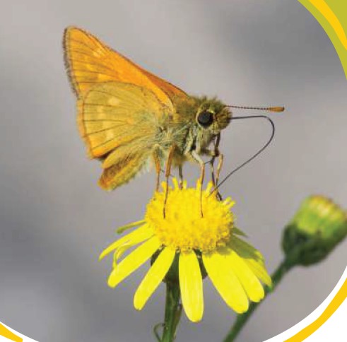 Michael dunne hesi case study 05 picture